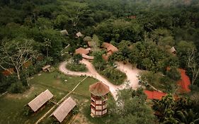 Our Jungle Camp